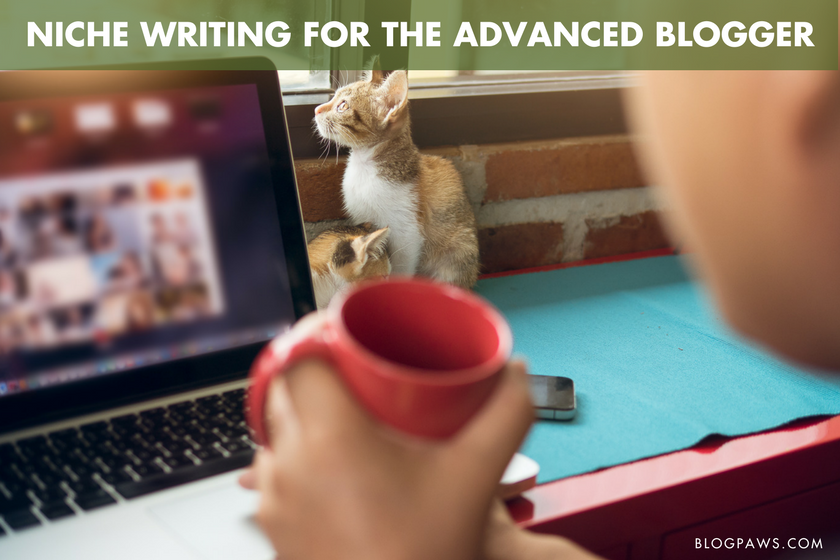 Niche Writing for the Advanced Blogger | BlogPaws.com