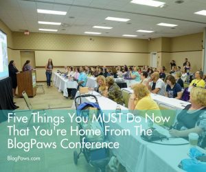 Five Things You MUST Do Now That You're Home From BlogPaws Conference