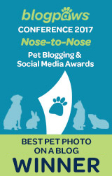 Best Pet Blog Photo badge