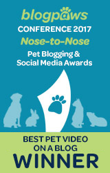 Best Pet Blog Video badge
