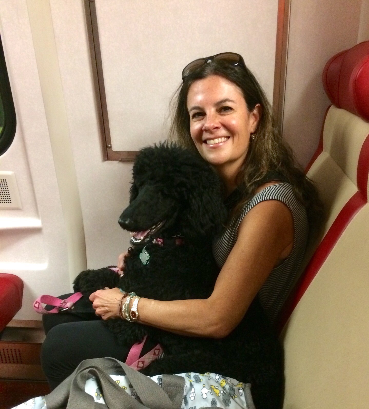 Lisa and Minnie on the train