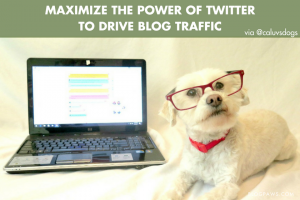 Maximize the Power of Twitter to Drive Traffic to Your Blog