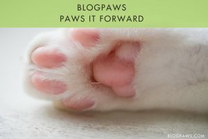 BlogPaws Wordless Wednesday Blog Hop: Pawing it Forward