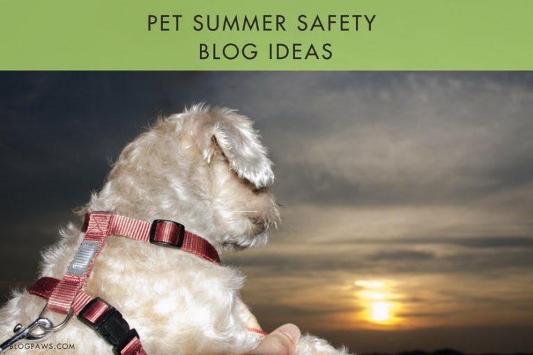 BlogPaws Wordless Wednesday Blog Hop Pets and Summer