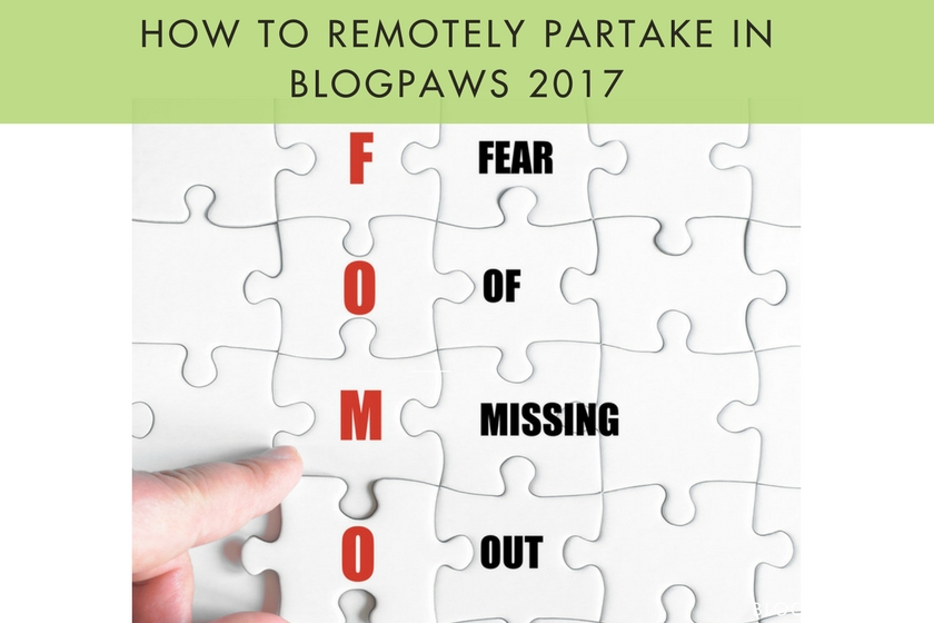 How to Remotely Partake in BlogPaws 2017
