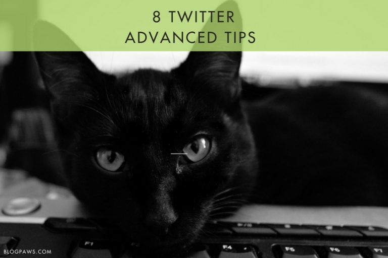 8 Advanced Twitter Tips For Bloggers