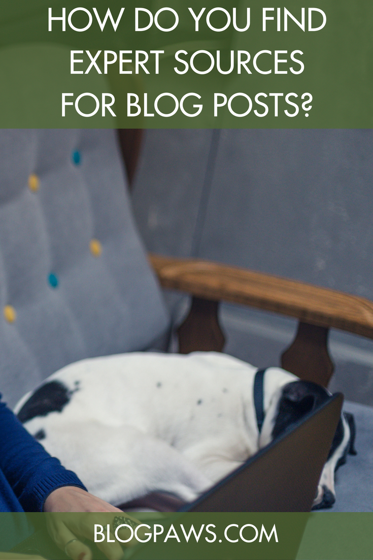 How Do You Find Expert Sources for Blog Posts?