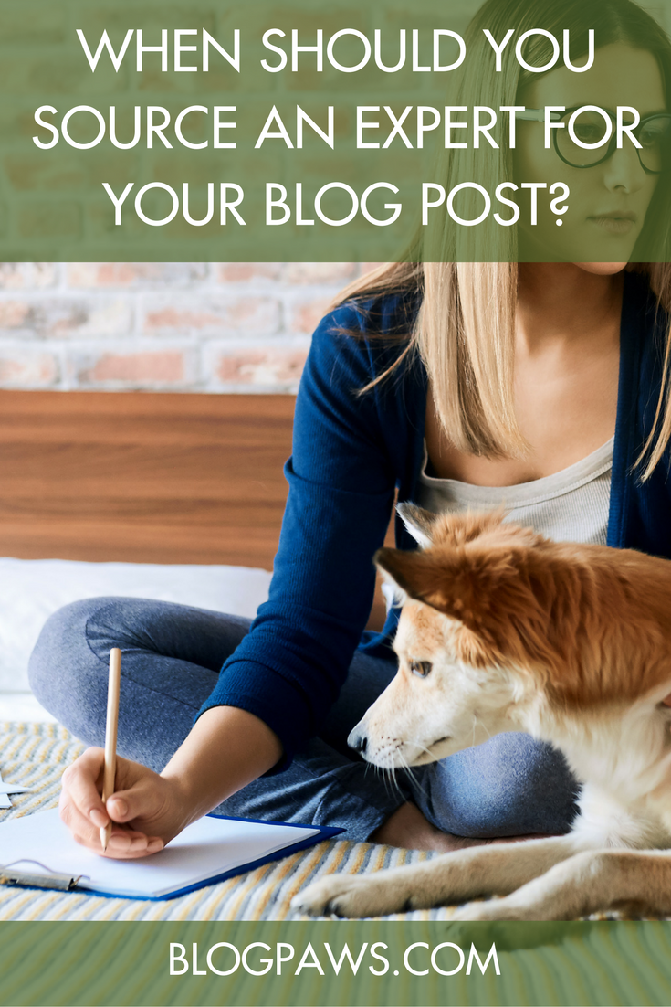 When Should You Source an Expert for Your Blog Post?