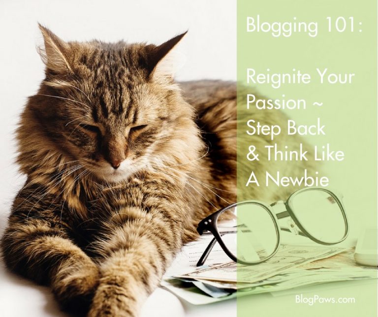 Blogging 101: Blog Like A Newbie