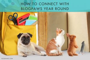 Connect with BlogPaws year round