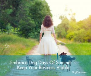 embrace dog days of summer