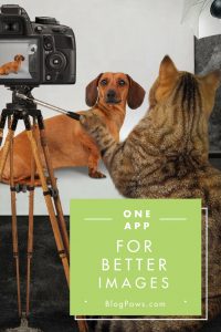 Photo app for better images