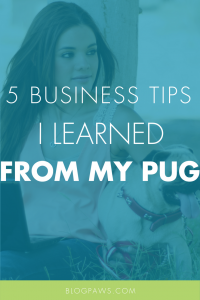5 Business Tips I Learned From My Pug