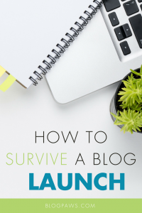 How to Survive a Blog Launch
