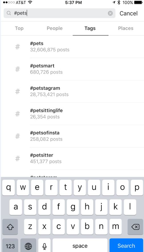 Instagram hashtag examples with pets