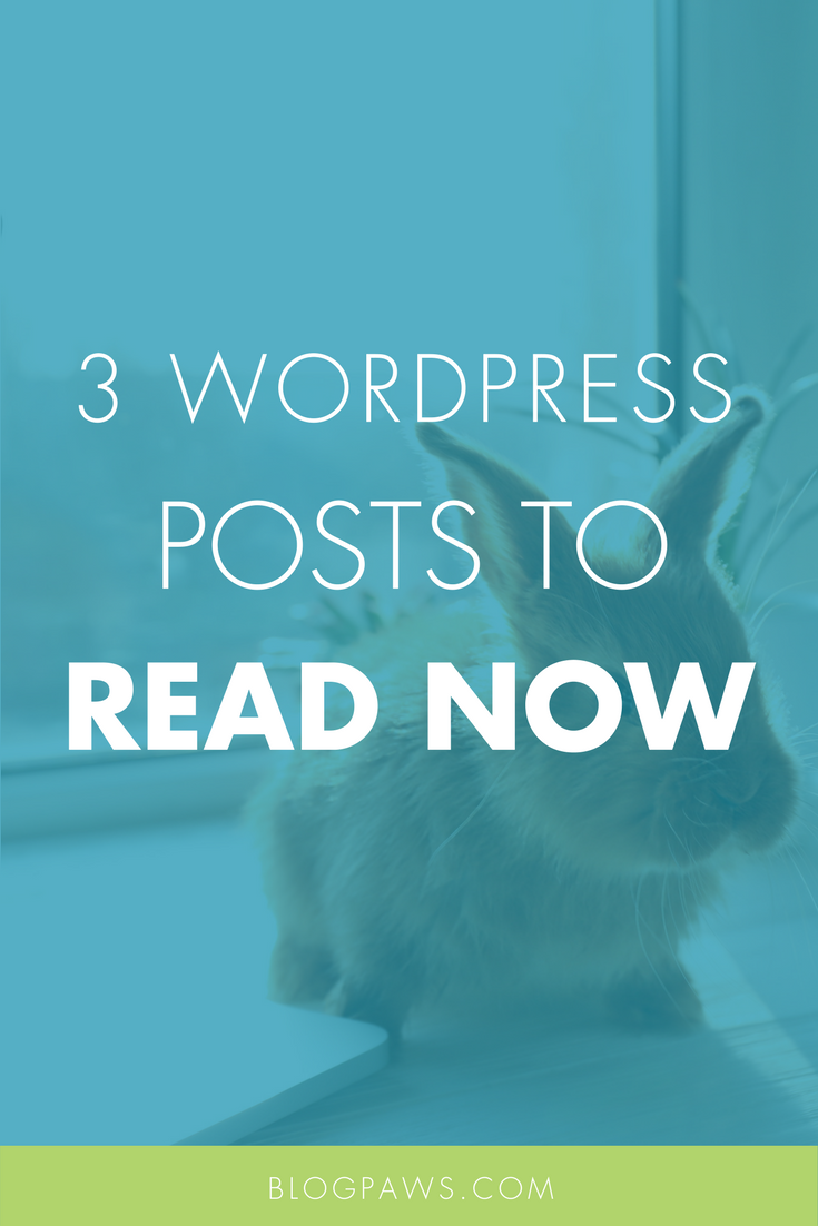 3 WordPress Tips to Read This Weekend