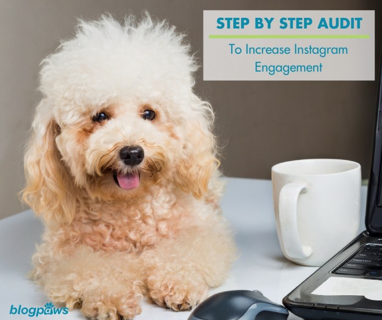 Step-by-Step Audit to Increase Instagram Engagement
