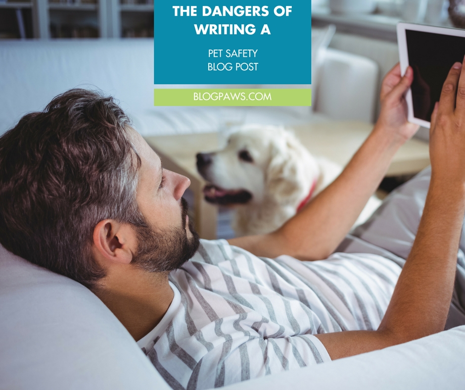 How to write a pet safety blog post