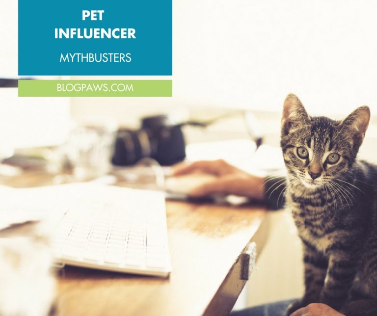 Pet Influencer Mythbusters Blog Hop