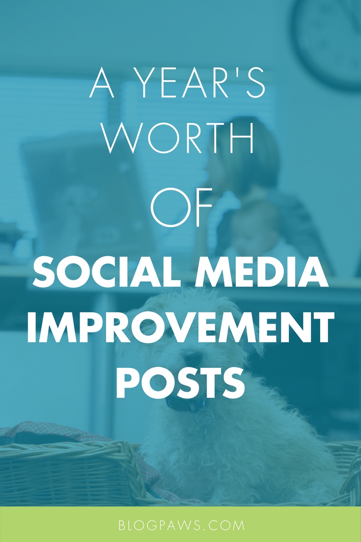A Year’s Worth of Social Media Improvement Posts Blog Hop