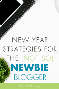 New Year Strategies for a (Not So) Newbie Blogger