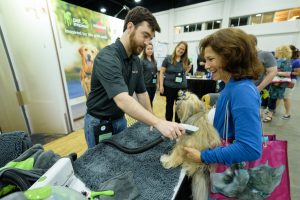 brands and blogpaws
