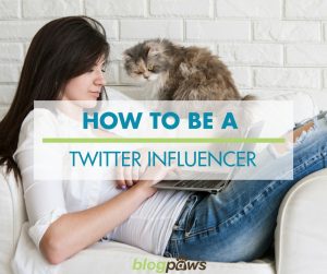 How to be a twitter influencer