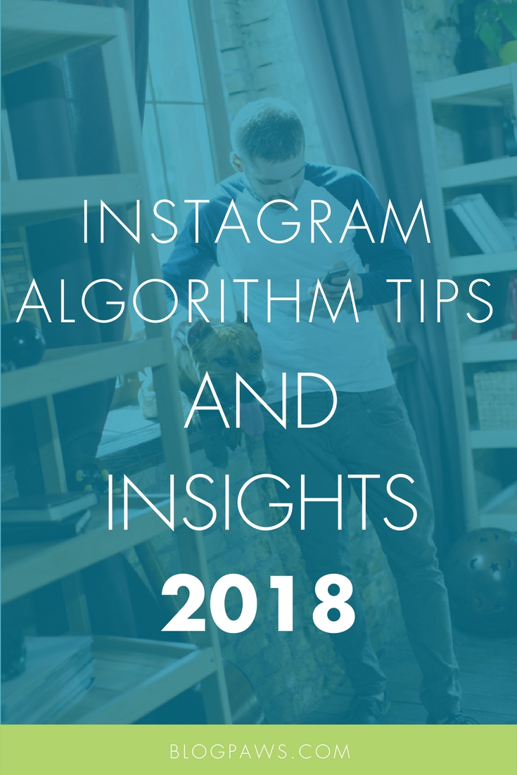 Instagram tips algorithm