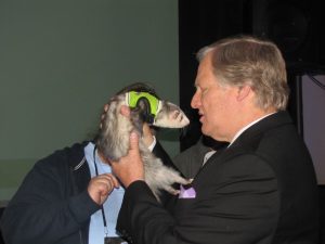 David Frei with ferret