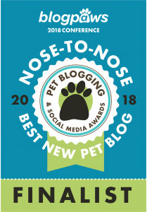Best New Pet Blog