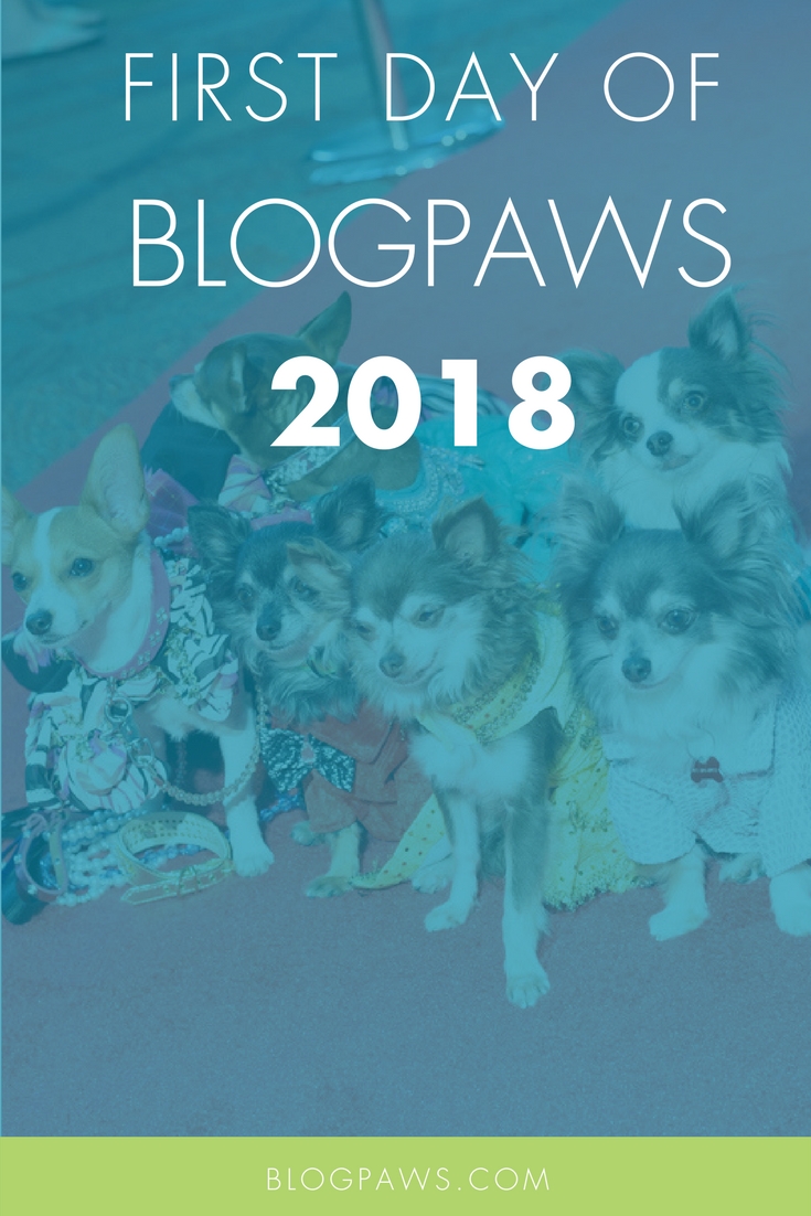 First Day of BlogPaws 2018 Conference Blog Hop