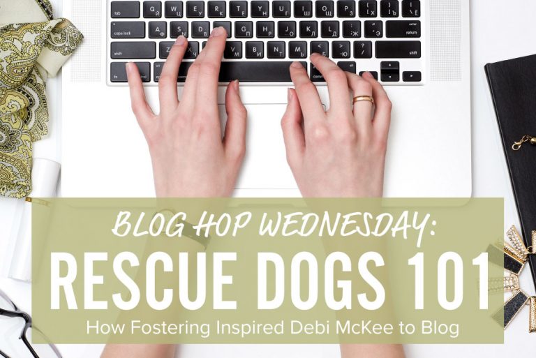 Blog Hop Wednesday: How Fostering Inspired Debi McKee to Blog