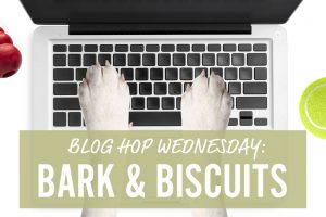 blog hop bark and biscuits