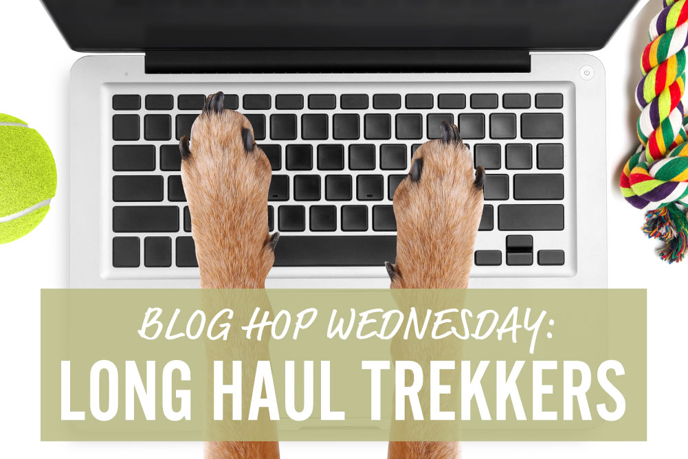 blog hop wednesday