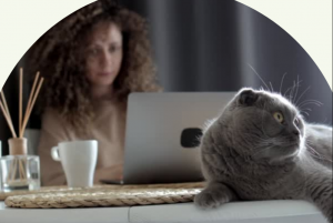 woman sitting at desk behind computer with grey cat sitting on desk in front of her