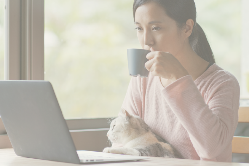 woman sipping coffee at desk with computer and cat on lap