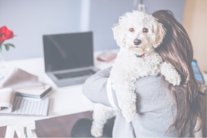 Dog on woman's shoulder as she faces computer thinking about why content is important for website growth