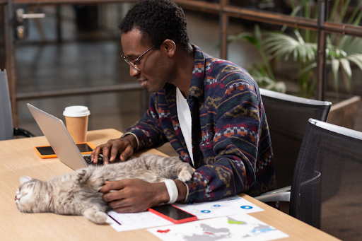 Man sitting at table on laptop while petting cat