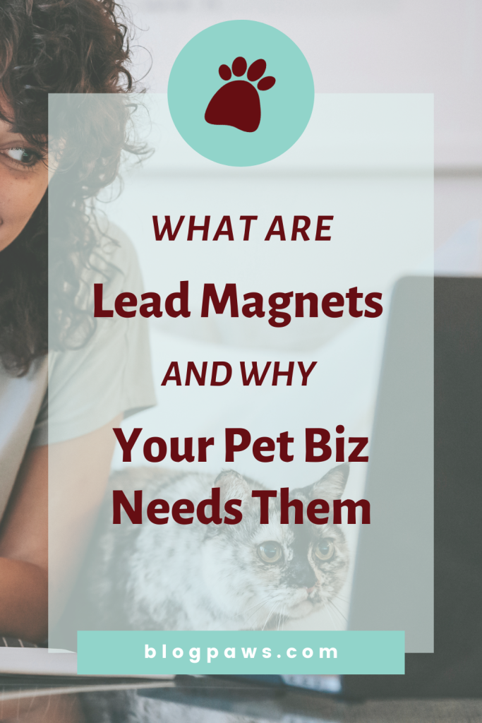 Women at desk with computer and cat | What are lead magnets?