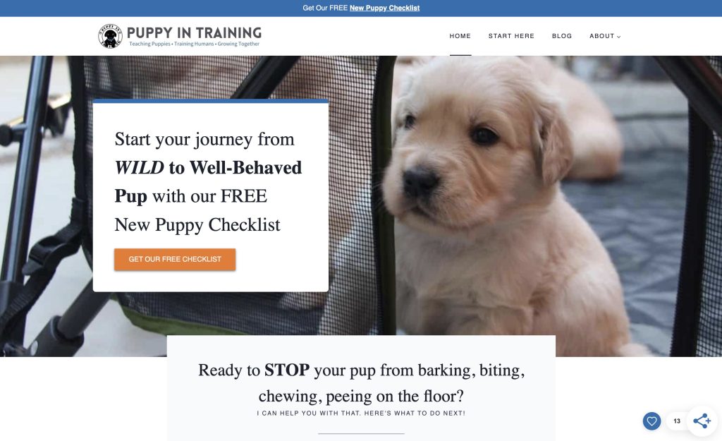 Puppy in Training example of lead magnet