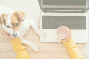 Small dog on desk with woman and coffee at computer for Email Automation