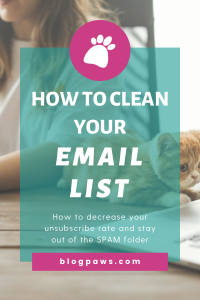 cat laying in front of an open laptop pin | How to Clean Your Email List