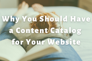dog laying on a persons's lap with an open book slide | Why You Should Have a Content Catalog for Your Website