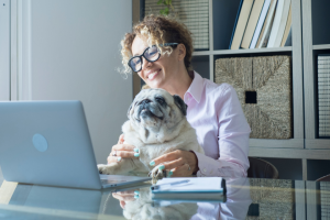 woman at computer with pug | Write Faster, Earn More: The Power of the Pomodoro Technique
