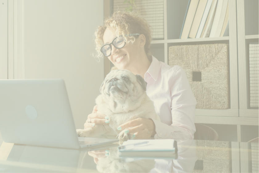 woman at computer with pug feature | Write Faster, Earn More: The Power of the Pomodoro Technique