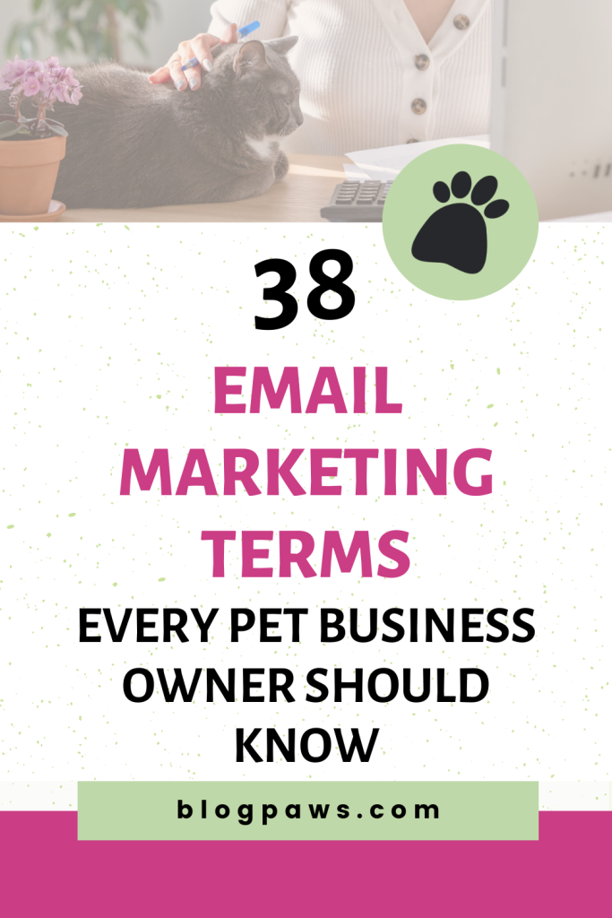 woman sitting in front of computer petting cat pin | 38 Email Marketing Terms Every Pet Business Owner Should Know