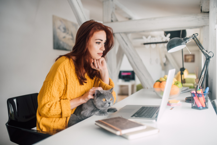 woman working on laptop with grey cat on her lap | How to Come Back From a Blogging Hiatus With a Bang