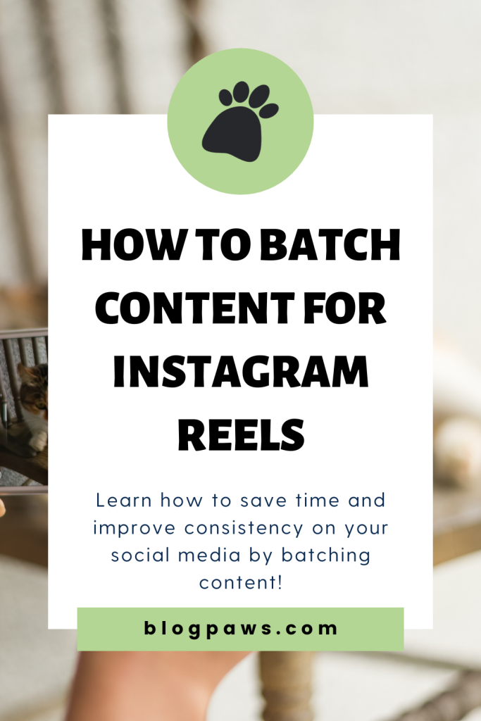 person taking cellphone picture of a cat pin | How to Batch Content for Instagram Reels