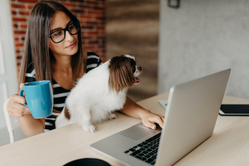 women with dog on computer | Search Intent and SEO: How to Optimize Your Content for Results