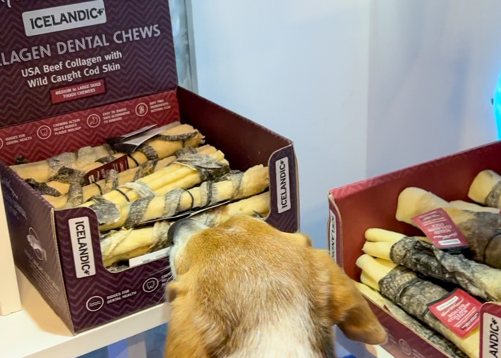 Icelandic+ Collagen Chews | SuperZoo 2022: Pet Brands to Watch